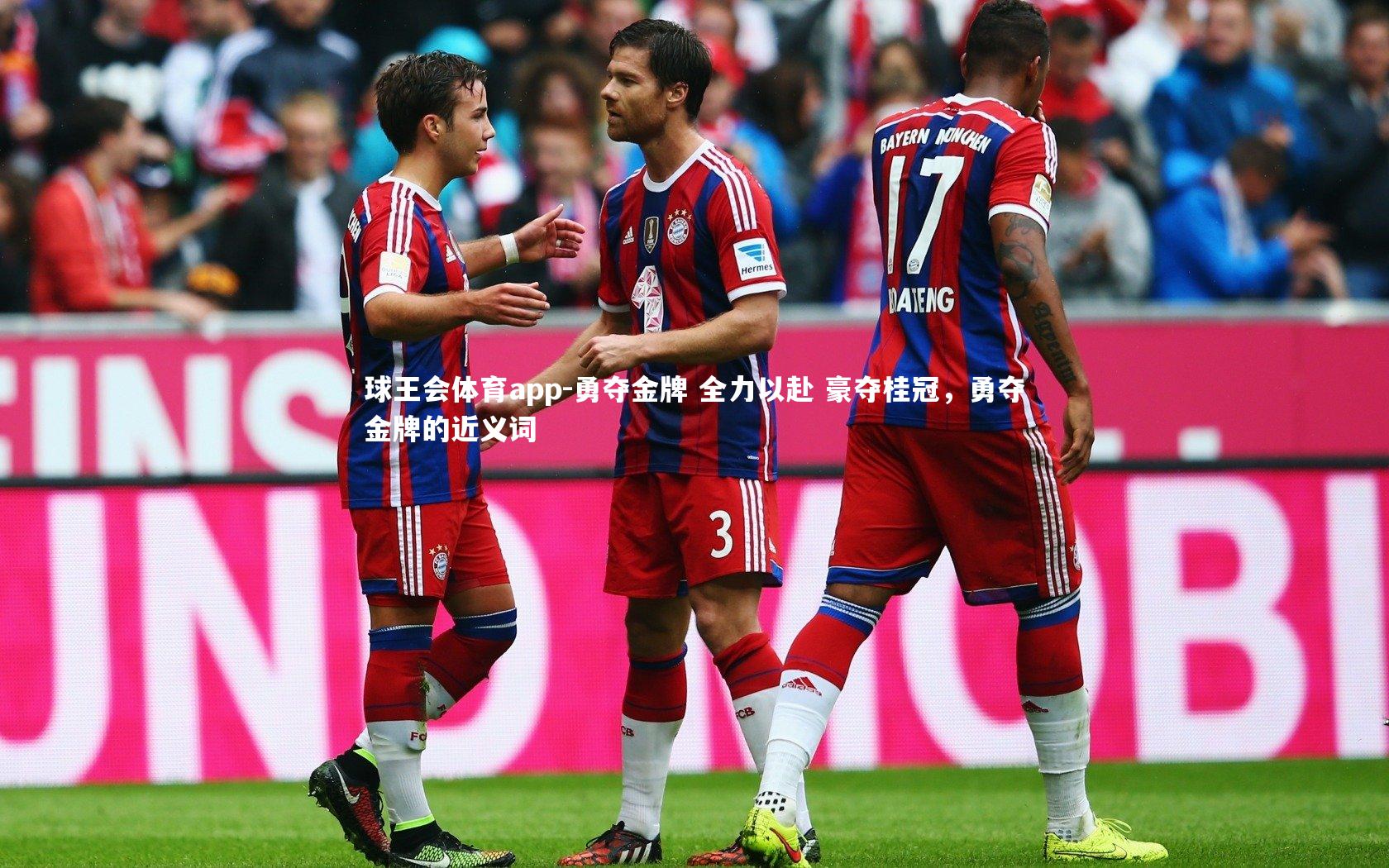 勇夺金牌 全力以赴 豪夺桂冠，勇夺金牌的近义词